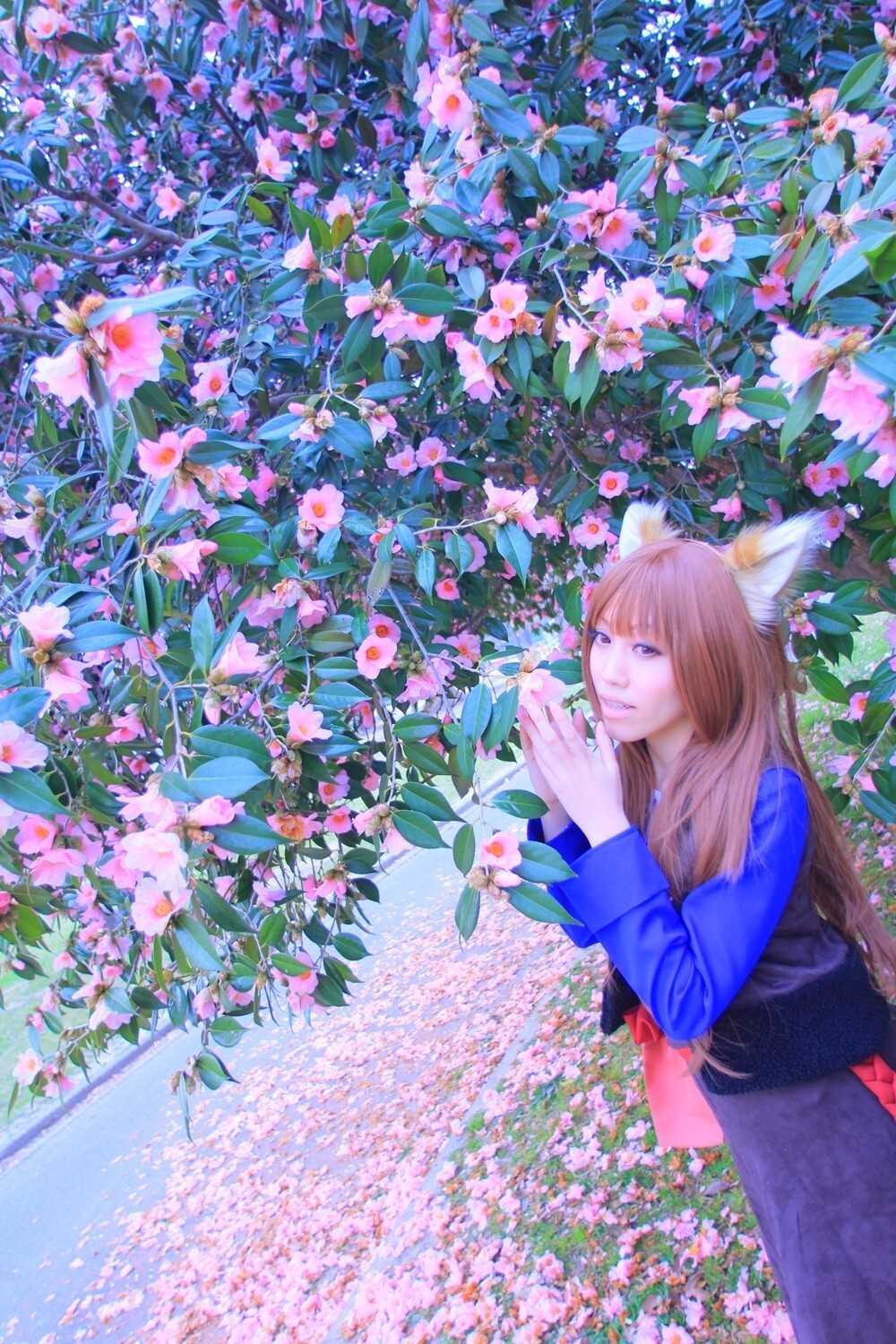 [Cosplay] 2013.04.13 Spice and Wolf Hot Cosplay